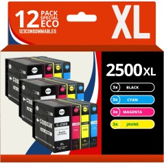 ✅ Pack 12 cartouches compatibles CANON PGI-2500XL couleur pack en stock