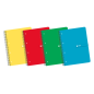 LOT de 5 Enri A4+ Europeanbook - Couverture Rigide - Spirale - 80 Feuilles - Grille 5x5 - Couleurs Assorties