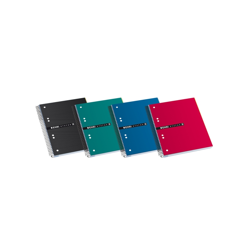 LOT de 4 Enri Status A5+ Europeanbook - Couverture Extra Rigide Résistante - Format A5+ - Carnet de 120 Feuilles - Grille 5x5 -