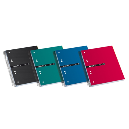 LOT de 4 Enri Status A5+ Europeanbook - Couverture Extra Rigide Résistante - Format A5+ - Carnet de 120 Feuilles - Grille 5x5 -