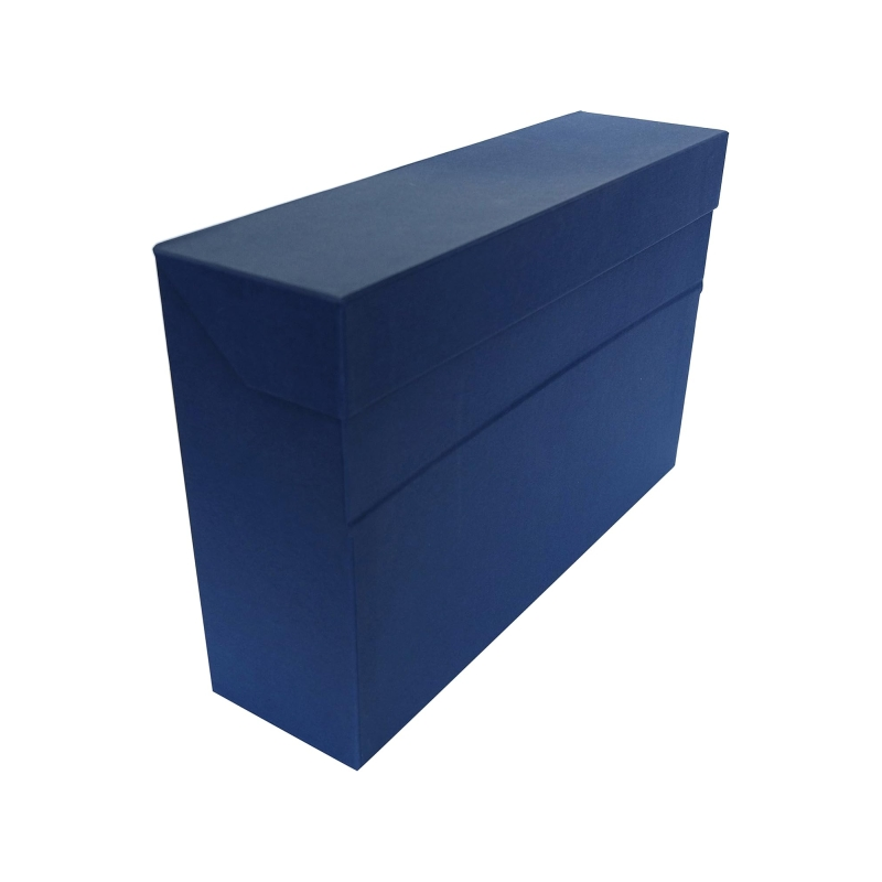 LOT de 3 Boîte de transfert résistante Elba 39,6x25,4 cm - Couvercle avec fermeture à pression - Poignée ergonomique pour un tra