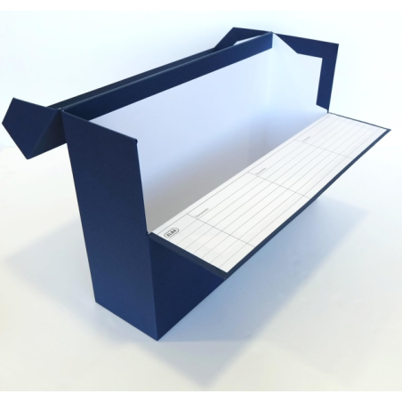 LOT de 3 Boîte de transfert résistante Elba 39,6x25,4 cm - Couvercle avec fermeture à pression - Poignée ergonomique pour un tra