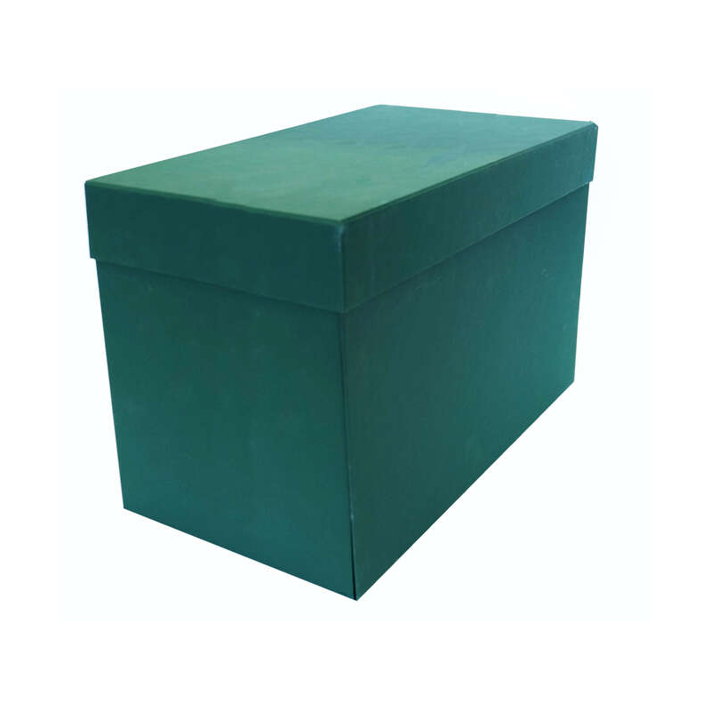 LOT de 2 Boîte de transfert résistante Elba 38,5x25,3 cm - avec couvercle à charnière - en carton recyclé - idéale pour classer