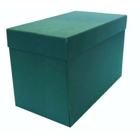 LOT de 2 Boîte de transfert résistante Elba 38,5x25,3 cm - avec couvercle à charnière - en carton recyclé - idéale pour classer