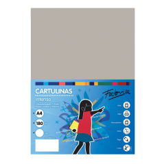 Paquet de 50 feuilles de papier cartonné Fabrisa 180 g/m² - Format A4 - Couleur grise