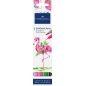 Coffret Faber-Castell Tropical Escapes avec 4 feutres Goldfaber à double pointe (pointe pinceau et pointe fine 0,6 mm), solubles
