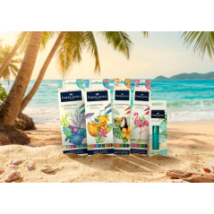 Coffret Faber-Castell Tropical Escapes avec 4 feutres Goldfaber à double pointe (pointe pinceau et pointe fine 0,6 mm), solubles