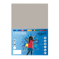 Lot de 25 feuilles de papier cartonné Fabrisa 180 g/m² - Format A3 - Gris