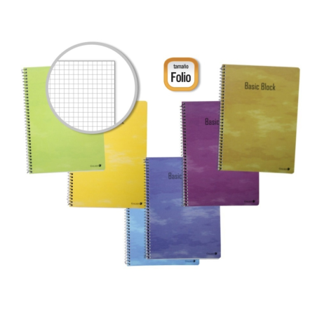 Lot de 10 cahiers à spirales dorés, 80 feuilles, 60 g/m², quadrillé, format folio, couverture plastifiée standard, couleurs asso