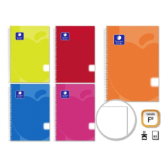 Lot de 5 cahiers à spirales dorés 80 feuilles 90 g unis - Format Folio - Couverture polypropylène - Couleurs assorties
