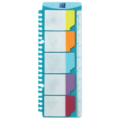 LOT de 50 Règle Oxford avec index adhésifs amovibles - Mesure 30 cm - Index amovibles - Idéale pour marquer les pages
