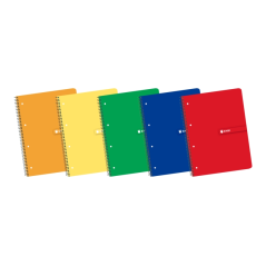 Enri Europeanbook1 A4+ - Carnet format A4+ - Spirale - Couverture souple - Grille 5x5