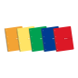 Enri Europeanbook1 A4+ - Carnet format A4+ - Spirale - Couverture souple - Grille 5x5