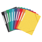LOT de 10 Oxford Top File + Chemise A4+ Caoutchouc - Couverture Souple - 3 Rabats - Dos 20mm - Couleurs Assorties