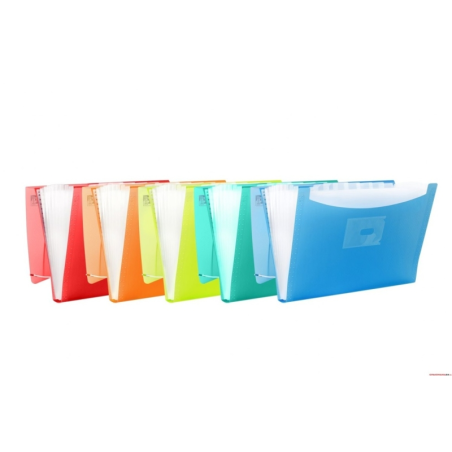 LOT de 10 Oxford Urban A4+ Classeur 8 positions – Couverture en plastique translucide – Idéal pour organiser les documents – Cou