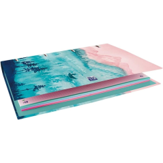 LOT de 10 Reliure européenne Oxford Ice Explorer - Couverture extra rigide - Dos 45 mm - Anneaux 4Dx35 mm - Remplacement 5x5 - 2