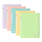 LOT de 10 Oxford A4+ PP TR Pastel STD - Chemise en plastique résistant - Format A4+ - Design moderne et élégant - Idéal pour org