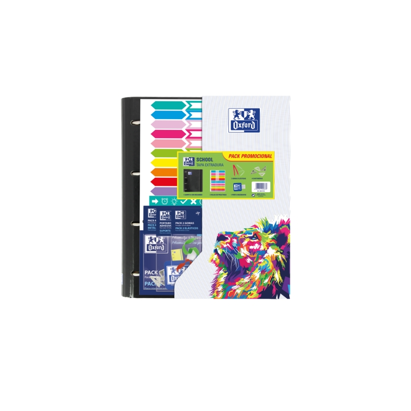 LOT de 10 Oxford Europeanbinder Oxfcla A4+ - Classeur format A4+ - Design scolaire - Intercalaires inclus - Couleurs assorties