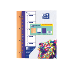LOT de 10 Oxford Europeanbinder Oxfcla A4 - Classeur format A4 - Comprend 10 couvertures transparentes - avec étiquette d'identi