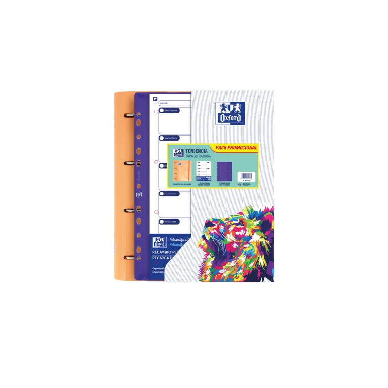 LOT de 10 Oxford Europeanbinder Oxfcla A4 - Classeur format A4 - Comprend 10 couvertures transparentes - avec étiquette d'identi