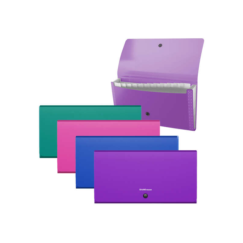Erichkrause Lot de 4 Classeurs Matt Vivid - 12 Pochettes - Taille Check - Couleurs Assorties