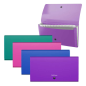 Erichkrause Lot de 4 Classeurs Matt Vivid - 12 Pochettes - Taille Check - Couleurs Assorties