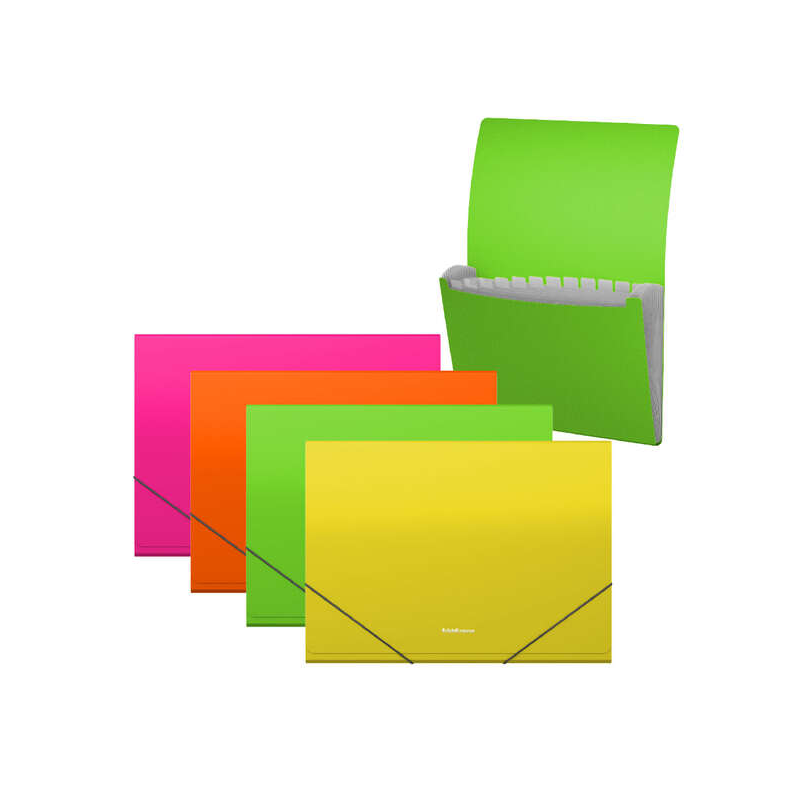 Erichkrause Pack de 4 Classeurs Néon Mat - 12 Couvertures - Format A4 - Couleurs Assorties