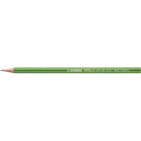Coffret Stabilo GREENgraph avec 60 crayons graphite - Mine HB 2,2 mm - Bois 100 % issu de forêts gérées durablement - Corps vert