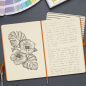 Carnet Finocam moderne et léger - 72 feuilles - Format A5 - 148 x 210 mm - Papier crème 80 g/m² - Lisse - Pochette intérieure -
