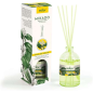 Prady Mikado Dama de Noche Désodorisant - Bouteille en verre de 100 ml et baguettes de diffusion