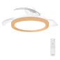Philips Bliss DC Fan Ceiling Ventilador de Techo con Luz LED Hasta 6500K - Aspas Retractiles - 35W Ventilador + 28W Luz - Mando