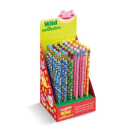 boîte de crayons graphite
