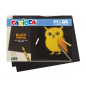 Carioca Black Pack con 20 Hojas A4 de Color Negro - Papel de 150gr - Recomendado para Tizas, Ceras, Rotuladores Brillantes etc..