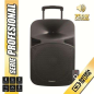 Coolsound Pro Series Enceinte Bluetooth Auto-alimentée 700W 15" 120W avec Batterie - USB, Entrée Micro Jack 6.3mm - 2 Micros Inc