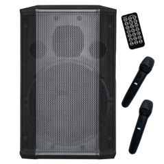 Enceinte Bluetooth Coolsound Pro 600 8" 100 W RMS avec batterie - Véritablement sans fil - USB, SD - 2 microphones - Série Pro -