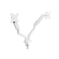 Support de bureau articulé Tooq pour 2 écrans 13"-34" - Pivotant et inclinable - Vérin à gaz - Poids max. 10 kg par bras - VESA