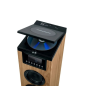 Thomson Cosy DS122CD Sound Tower 60W Bluetooth 5.0 - Lecteur CD - Entrée AUX 3,5 mm, USB et Lecteur de Carte SD/MMC - Télécomman