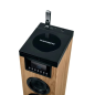 Thomson Cosy DS122CD Sound Tower 60W Bluetooth 5.0 - Lecteur CD - Entrée AUX 3,5 mm, USB et Lecteur de Carte SD/MMC - Télécomman