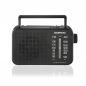 Radio AM/FM Daewoo - Prise jack 3,5 mm - Antenne télescopique - Haut-parleur intégré - Poignée de transport - 22 x 7,5 x 15 cm -