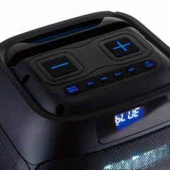 Enceinte karaoké sans fil Daewoo - 40 W - Bluetooth - Radio FM - Batterie 2000 mAh - Microphone intégré - Lecteur microSD - Pris