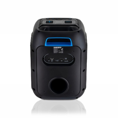 Enceinte karaoké sans fil Daewoo - 40 W - Bluetooth - Radio FM - Batterie 2000 mAh - Microphone intégré - Lecteur microSD - Pris