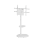 Support de sol Ewent pour téléviseurs jusqu'à 86" - Plateau auxiliaire - Hauteur réglable - Gestion des câbles - VESA maximum 60