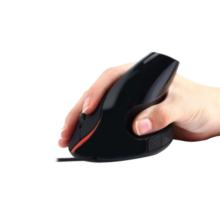 Souris filaire Ewent - Souris verticale - 1000 dpi - Câble de 1,25 m - Ergonomique - Noir
