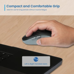 Souris USB sans fil Ewent EW3204 1600 dpi - 6 boutons - Récepteur USB-A et USB-C - Utilisation ambidextre - Noir/Gris