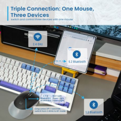 Souris USB sans fil Ewent EW3243 3200 dpi - 6 boutons - 2,4 GHz et Bluetooth - Pour droitiers - Noir/Gris