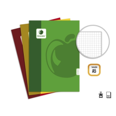 Pack de 10 cahiers agrafés Golden Basic A5, 50 feuilles, 60 g/m², quadrillé - Couleurs assorties