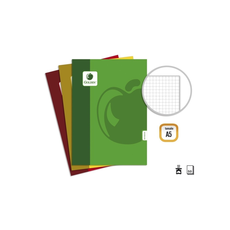 Pack de 10 cahiers agrafés Golden Basic A5, 50 feuilles, 60 g/m², quadrillé - Couleurs assorties