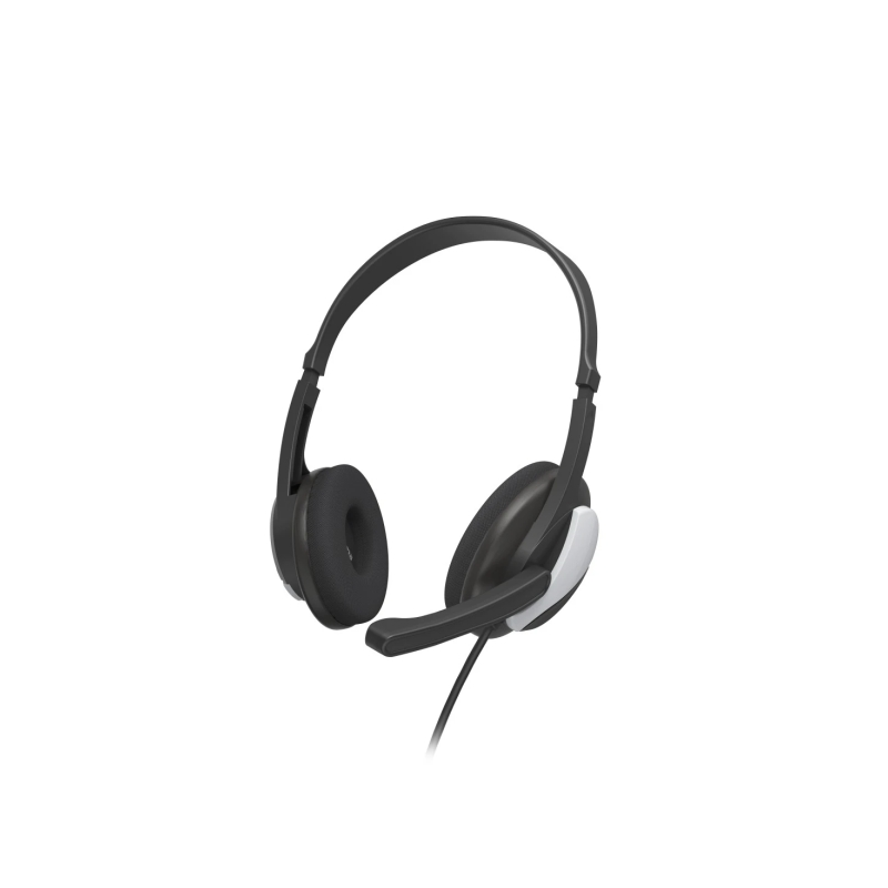 Casque Hama HS-P100 V2 avec microphone omnidirectionnel - Câble de 2 m - Prise jack 3,5 mm - Arceau réglable - Coussinets d'orei