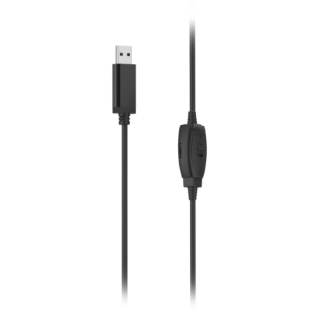 Casque Hama HS-USB250 V2 avec microphone omnidirectionnel - Câble de 2 m - Arceau réglable - Coussinets d'oreille en maille - No