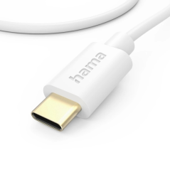 Câble USB-C mâle Hama - Puissance maximale 60 W - Longueur 1 m - Vitesse jusqu'à 480 Mbit/s - Plaqué or - Blanc